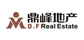 D.F REAL ESTATE